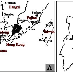 梅州到徐聞多少公里：地理距离与人文交流的深度探讨